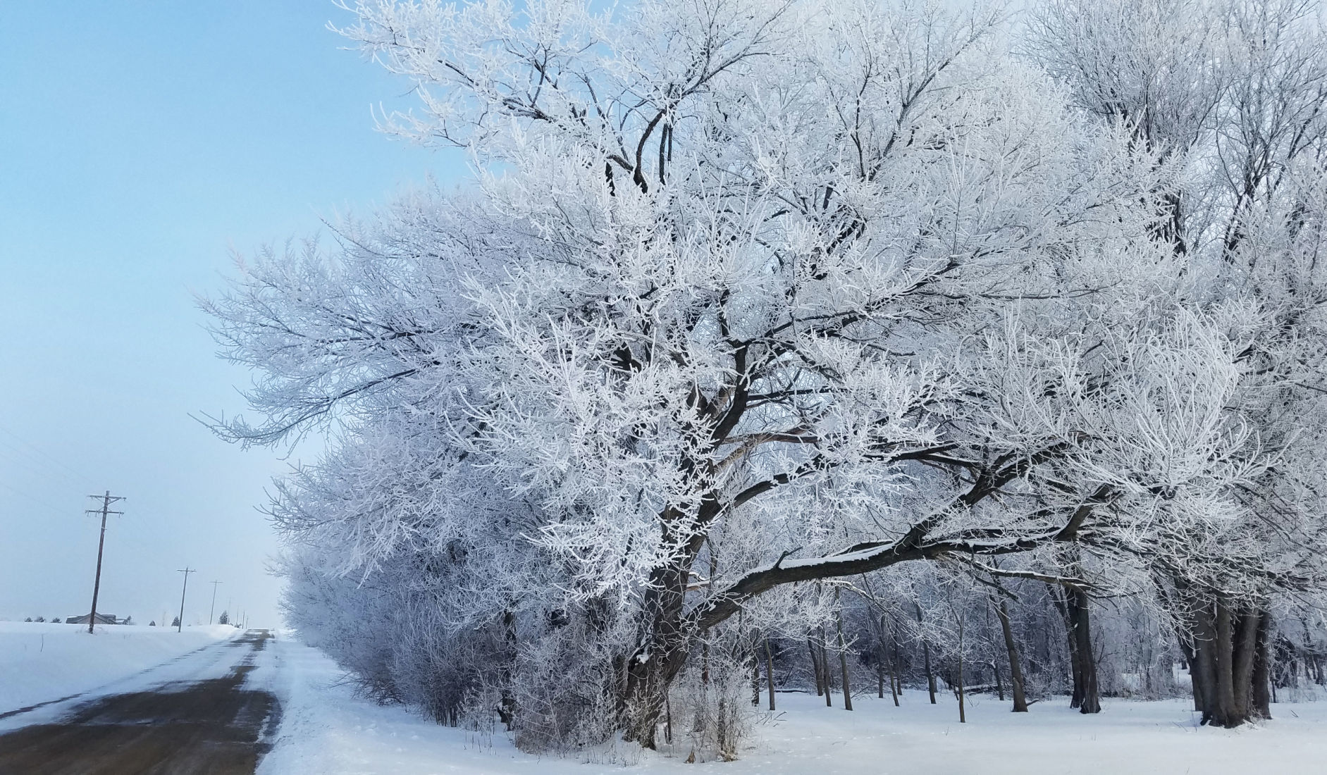 190220_FROST03